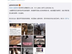 陈乔恩为拯救小象莫莉发声 呼吁大家拒绝动物表演
