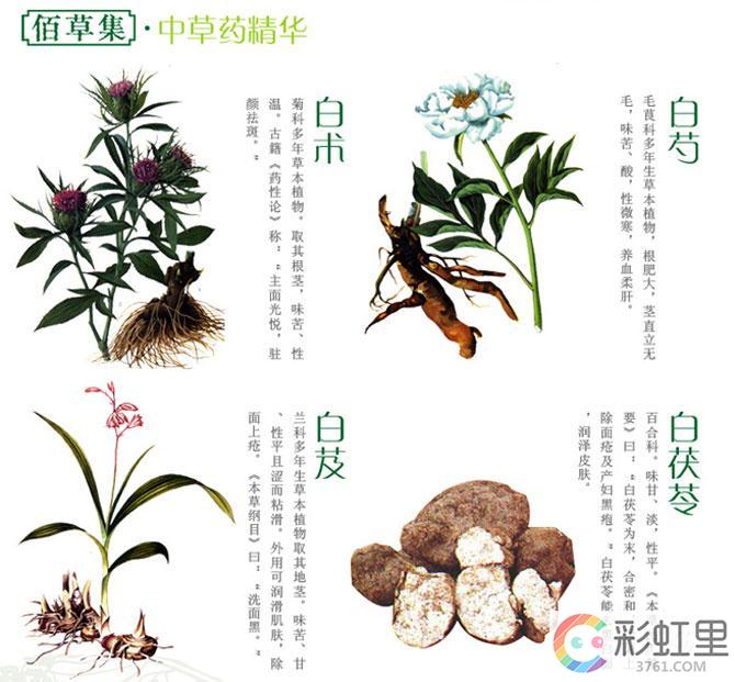 适合敏感肌肤的化妆品 雅漾和佰草集哪个好