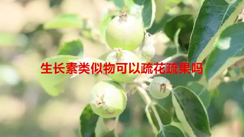 生长素类似物可以疏花疏果吗