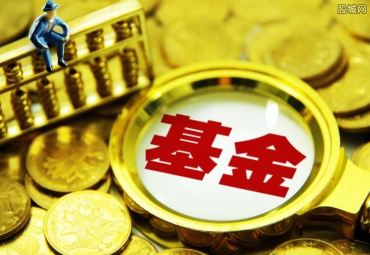 什么是股票型基金
