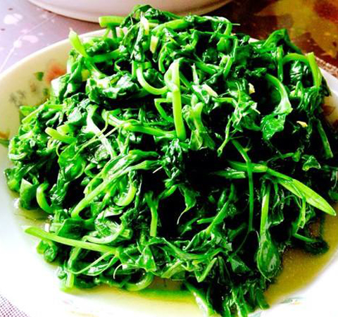 抗菌消炎 豌豆苗的营养价值和功效介绍