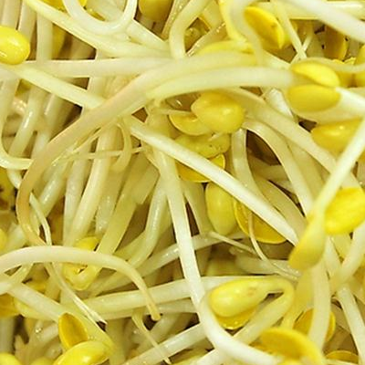 黄豆芽可以减肥吗 可以和鸡蛋炒吗