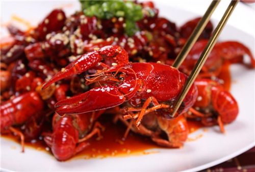 小龙虾是什么东西 真是虫子吗