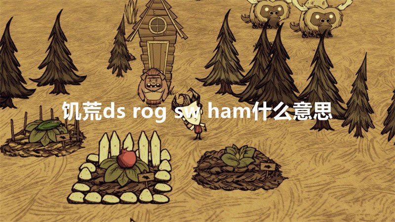 饥荒ds rog sw ham什么意思