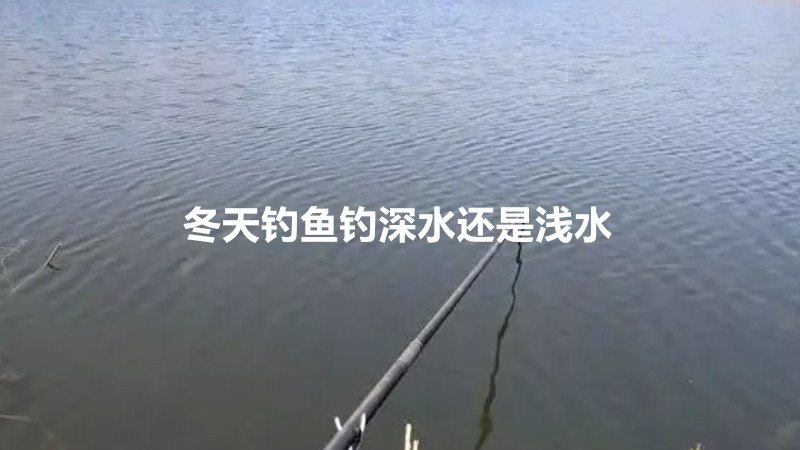 冬天钓鱼钓深水还是浅水