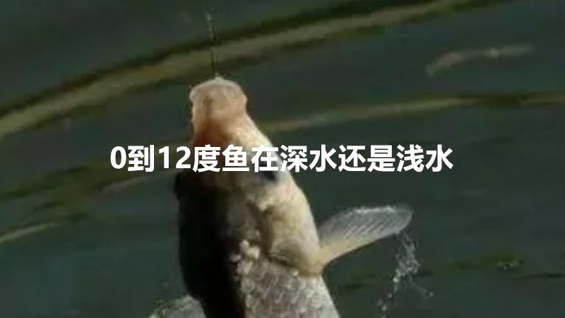 0到12度鱼在深水还是浅水