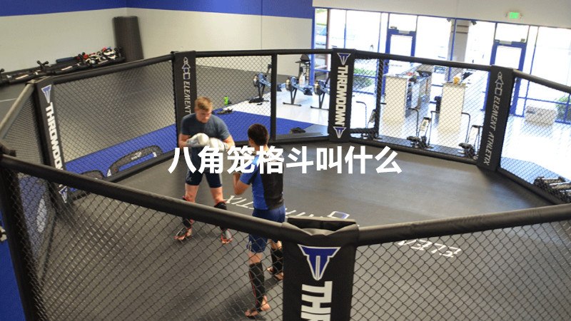 八角笼格斗叫什么
