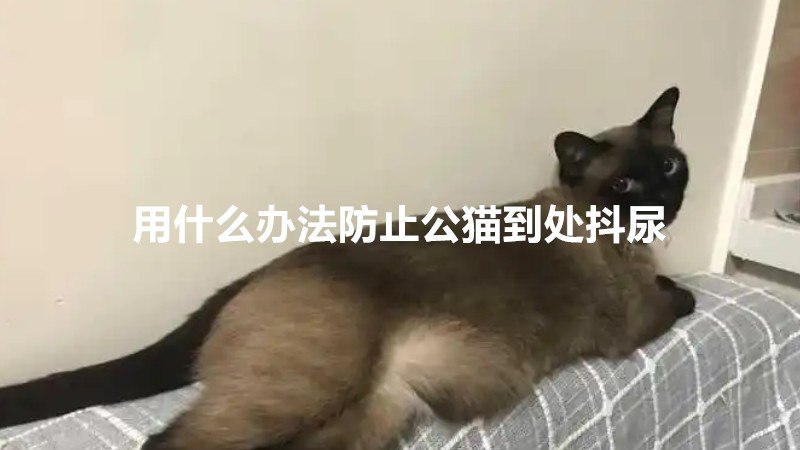 用什么办法防止公猫到处抖尿