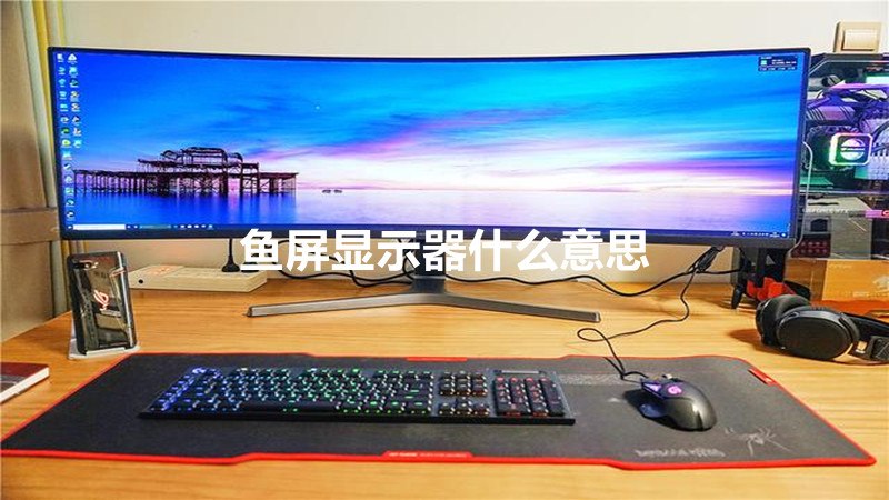 鱼屏显示器什么意思