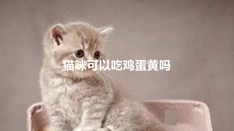 猫咪可以吃鸡蛋黄吗