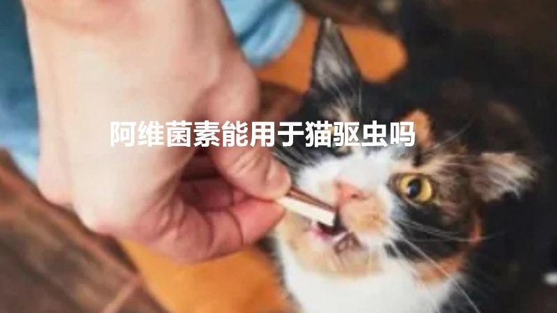 阿维菌素能用于猫驱虫吗