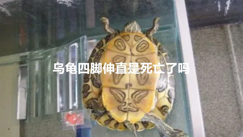 乌龟四脚伸直是死亡了吗