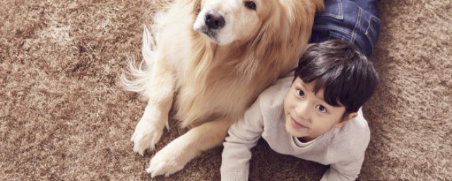 家里有小孩子适合养什么狗 新手有小孩家庭适合养什么狗