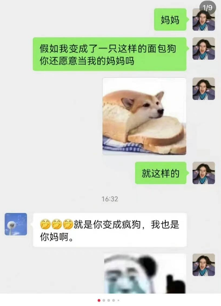 面包狗什么梗  如果我变成面包狗 如果变成面包狗是什么梗
