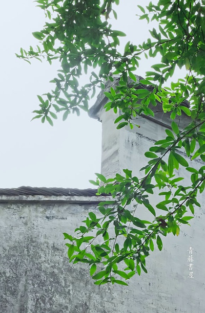 传统中医解决皮肤问题 爱美女士必读(2)