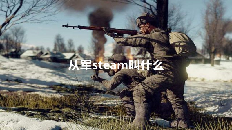 从军steam叫什么