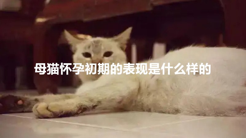 母猫怀孕初期的表现是什么样的