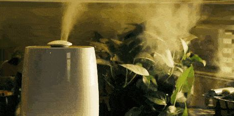 一到秋冬皮肤就拔干怎么办？秋冬如何补水不干燥