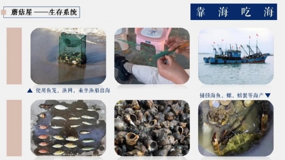 向往的生活6在线观看 向往的生活6先导片 向往的生活6先导片在线观看地址