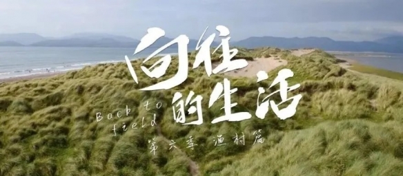 向往的生活6在线观看 向往的生活6先导片 向往的生活6先导片在线观看地址