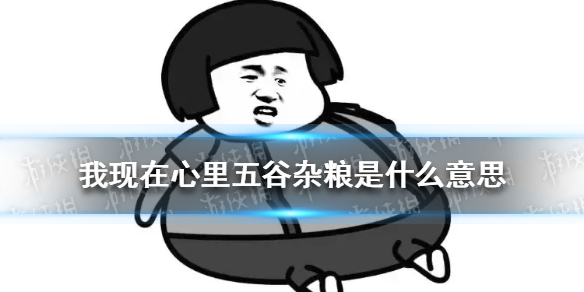 我现在心里五谷杂粮是什么意思 男生说五谷杂粮什么意思 心中五谷杂粮什么意思