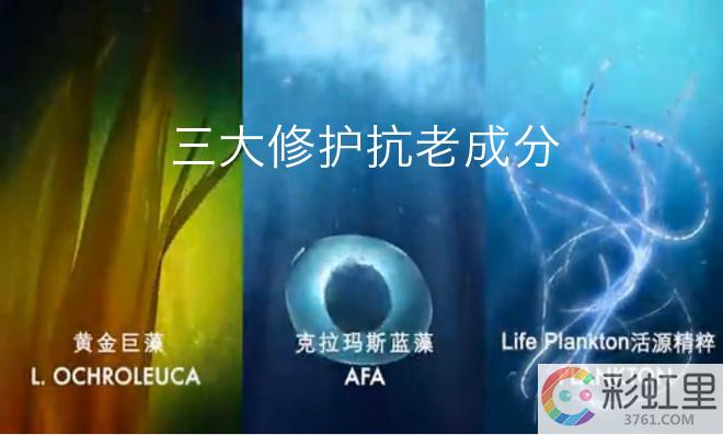 碧欧泉蓝金瓶好气色 碧欧泉蓝金瓶适合年龄