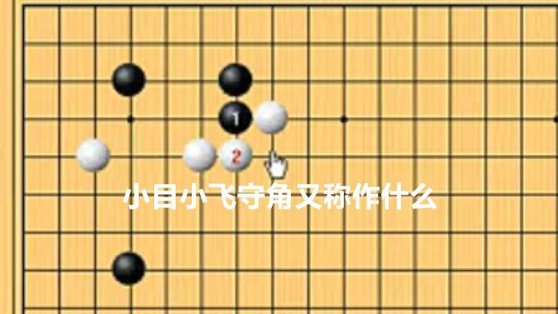 小目小飞守角又称作什么