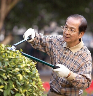 老年人养生 老年人冬季注意肺部疾病