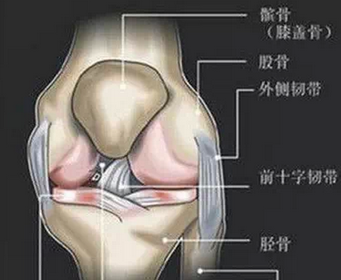 膝盖骨痛有救了，家有腰腿疼痛的人，记得存起