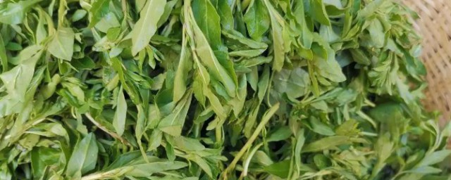 枸杞芽菜怎么做好吃 枸杞芽好吃的做法