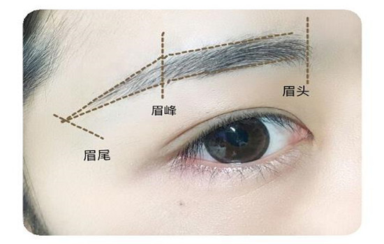 新手画眉毛的技巧图解 新手画眉毛教程