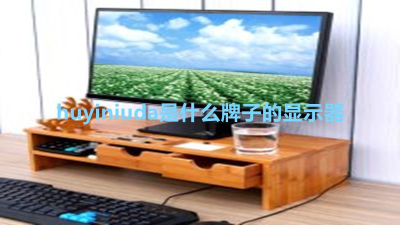 huyiniuda是什么牌子的显示器