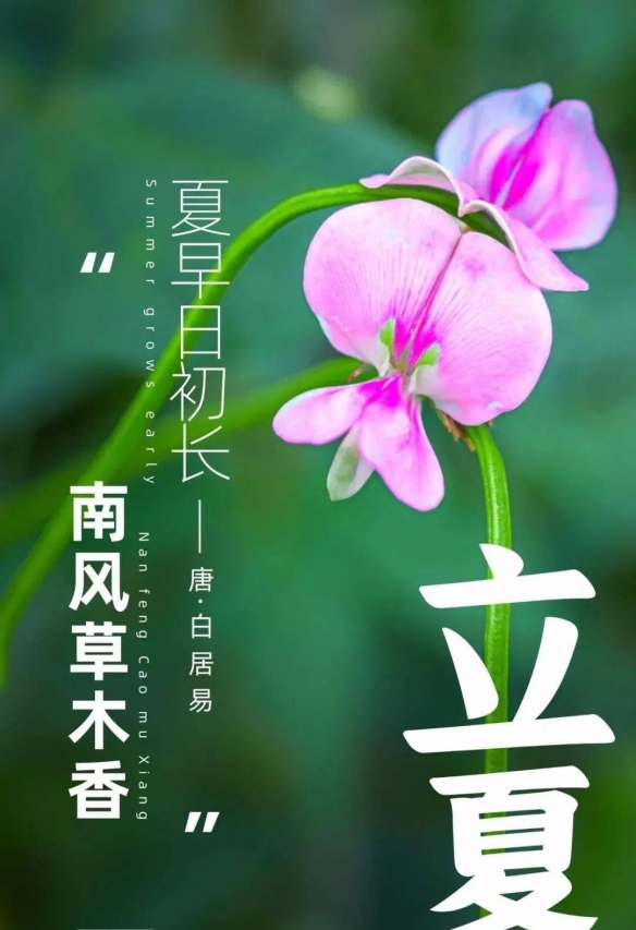 立夏称体重是什么意思 立夏为什么要称重 立夏秤人的寓意