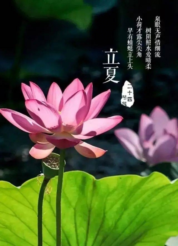 立夏称体重是什么意思 立夏为什么要称重 立夏秤人的寓意
