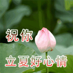 立夏称体重是什么意思 立夏为什么要称重 立夏秤人的寓意
