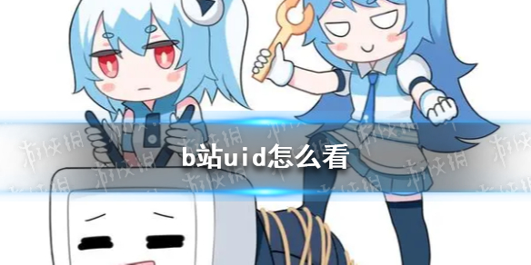 b站uid怎么查找人  b站搜uid为什么搜不出用户 bilibili自己的UID查看方法