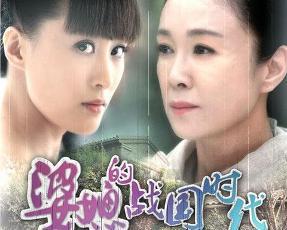 电视剧婆媳的三国时代