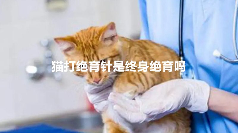 猫打绝育针是终身绝育吗