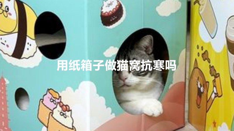 用纸箱子做猫窝抗寒吗
