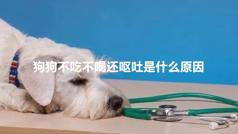 狗狗不吃不喝还呕吐是什么原因