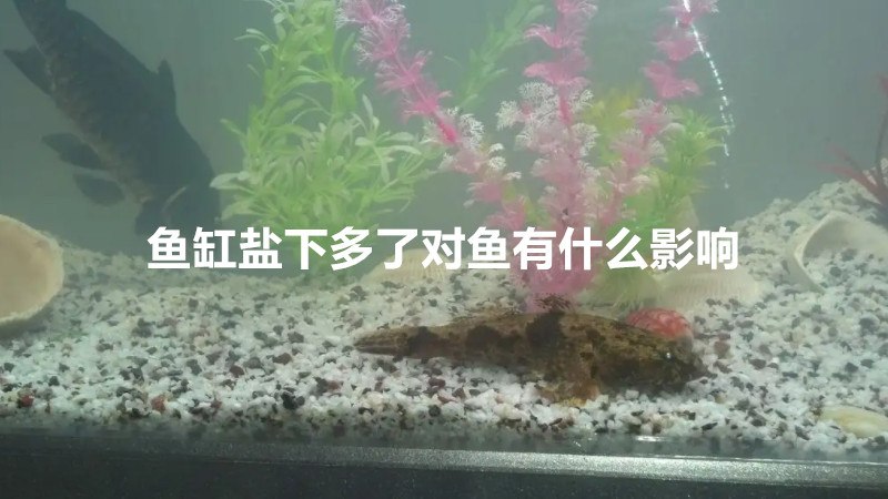 鱼缸盐下多了对鱼有什么影响