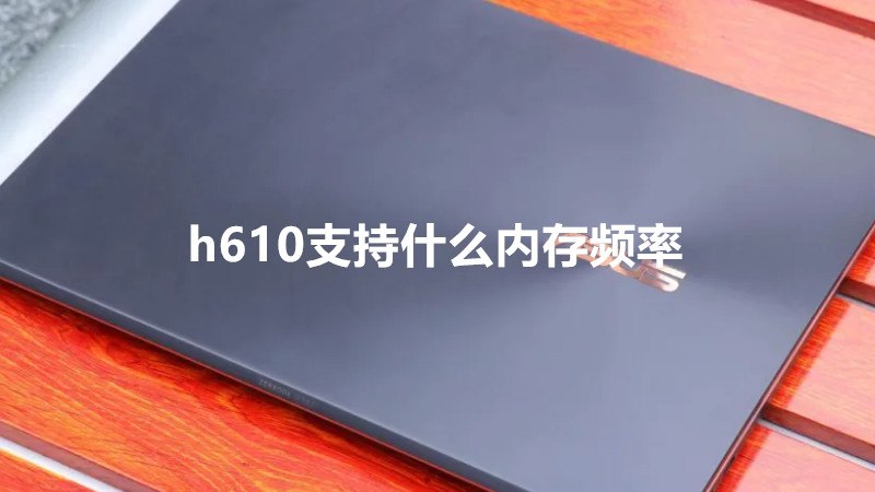 h610支持什么内存频率