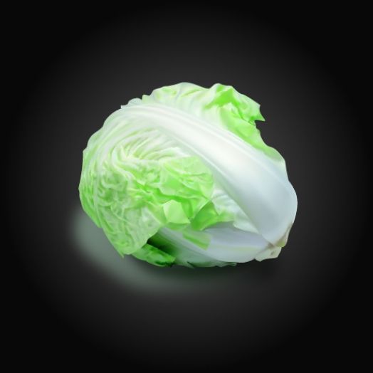 白菜的做法大全让你做出与众不同的白菜