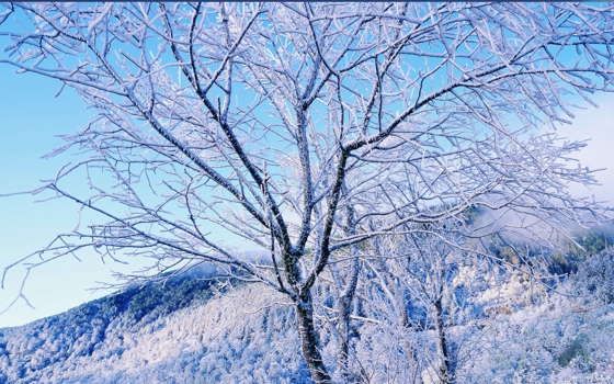 夏季护肤“三不要”