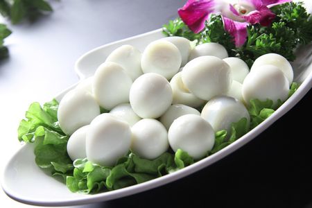 鸽子蛋的营养价值 吃鸽子蛋的好处哪些？