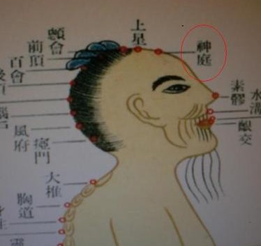 推拿神庭穴 提高学习效率的聪明穴