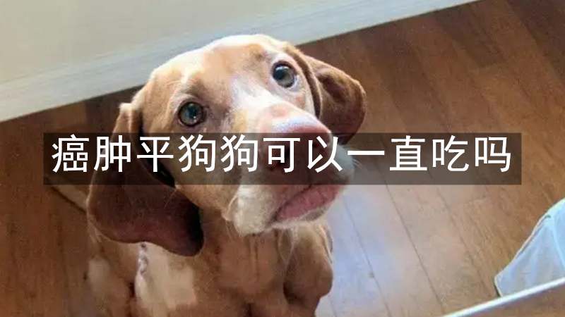 癌肿平狗狗可以一直吃吗