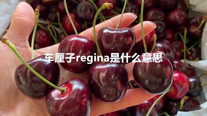车厘子regina是什么意思