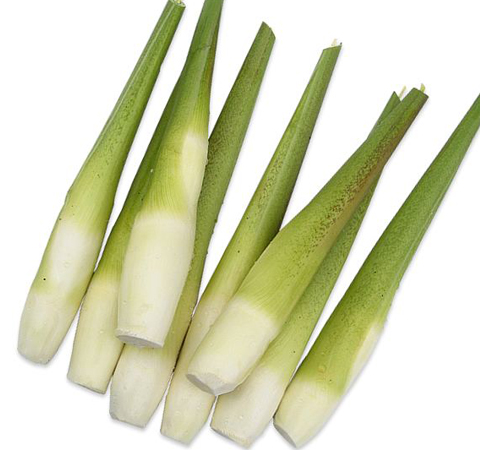 利尿止渴 茭白的营养价值和功效作用介绍