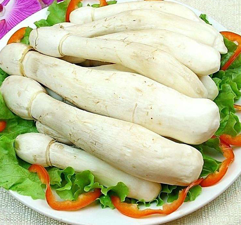 鸡腿菇的营养价值 让你了解鸡腿菇的功效